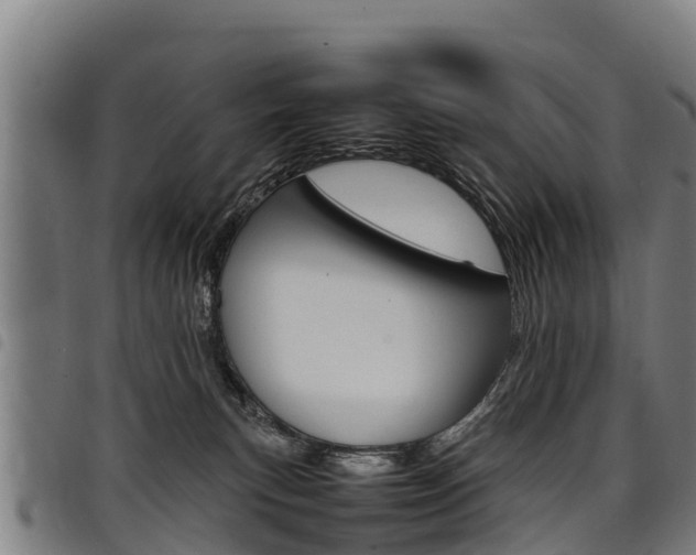 X0000098120183200804040832