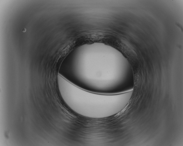 X0000098120184200804040832
