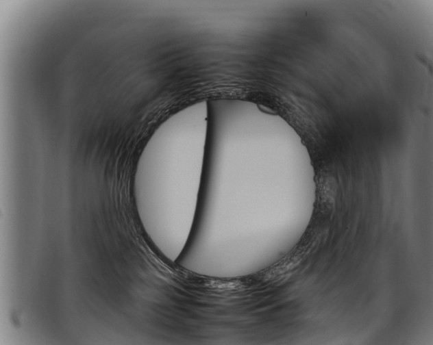 X0000098120185200804040832