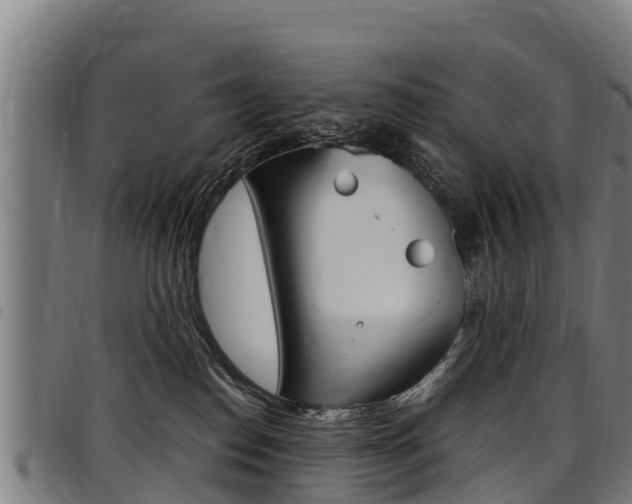 X0000098120186200804040832