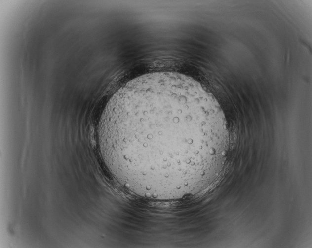 X0000098120187200804040832