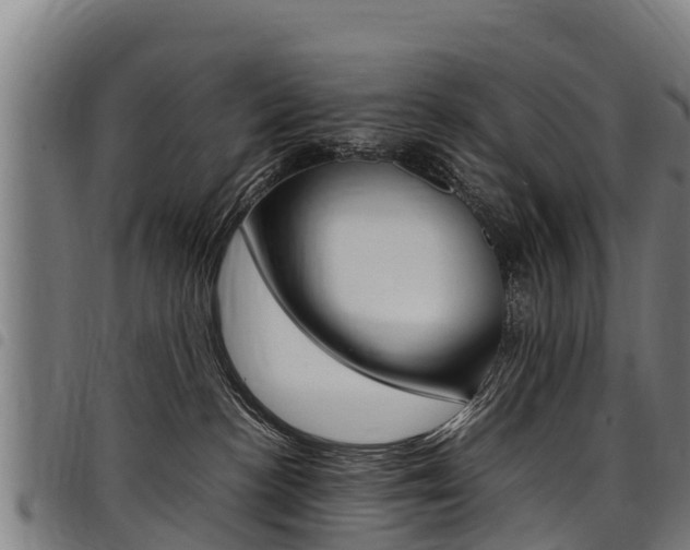 X0000098120188200804040832