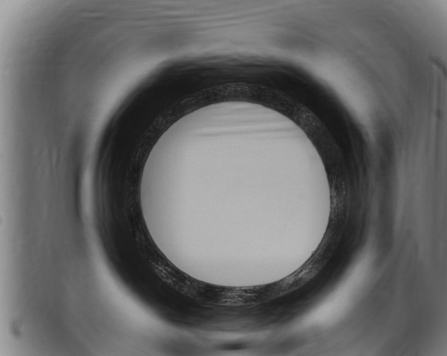 X0000098120190200804040832