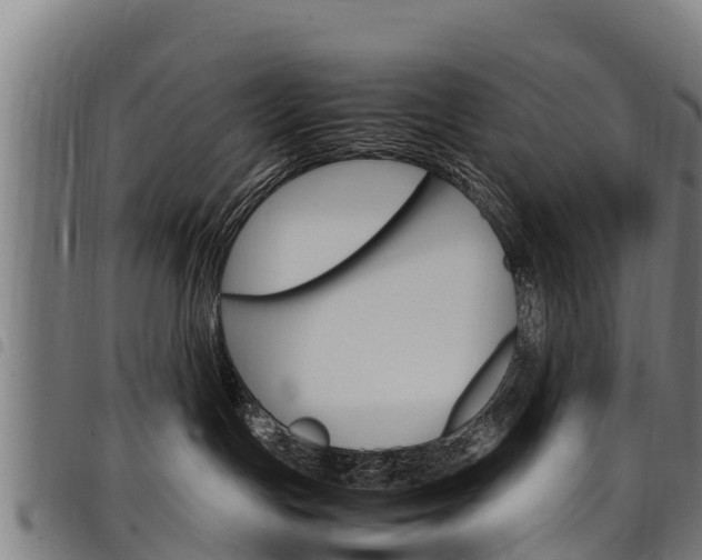 X0000098120191200804040832