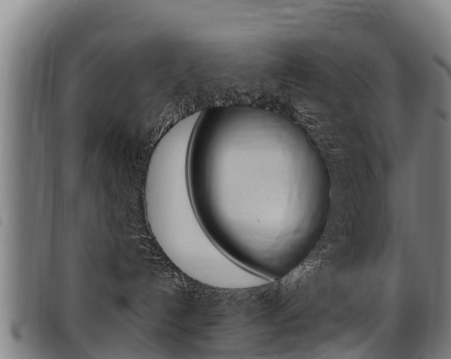 X0000098120192200804040832