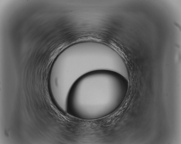 X0000098120193200804040831
