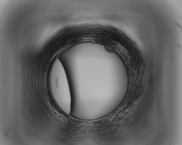 X0000098120194200804040831