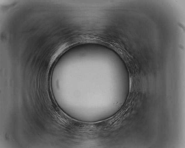 X0000098120195200804040831
