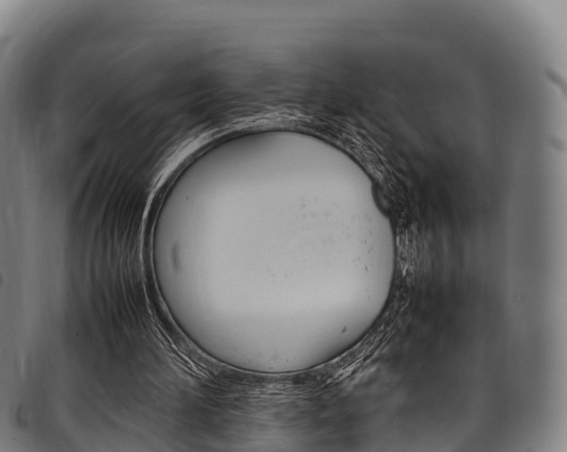 X0000098120196200804040831