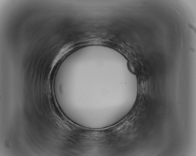 X0000098120198200804040831