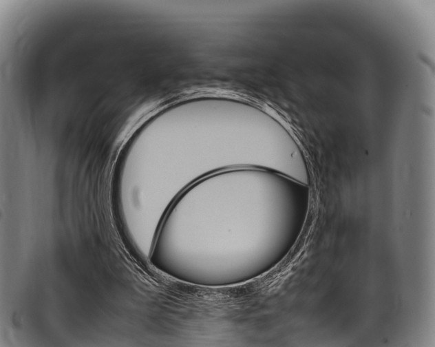 X0000098120199200804040831