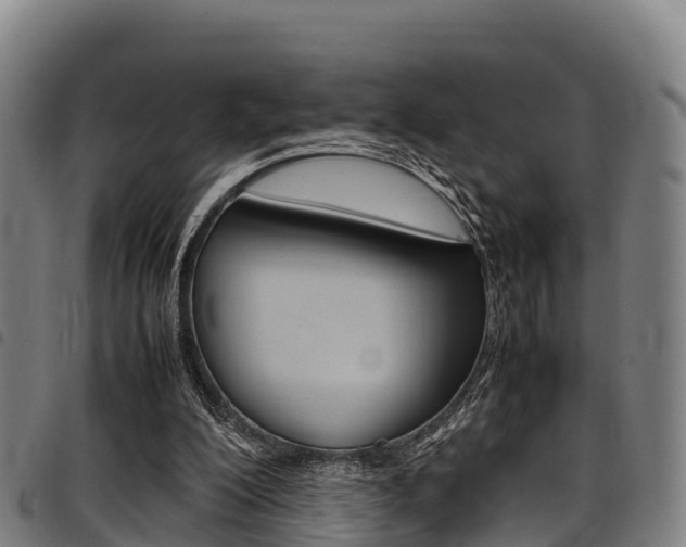 X0000098120200200804040831
