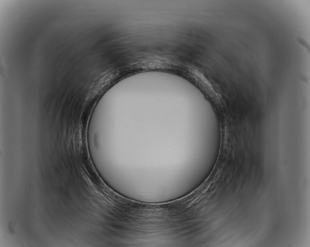 X0000098120202200804040831