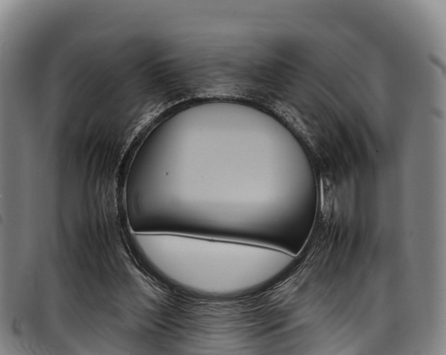 X0000098120204200804040831