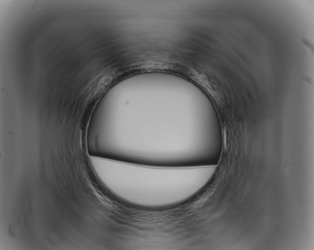 X0000098120205200804040831