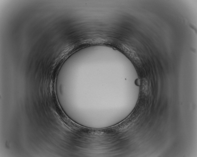 X0000098120206200804040831