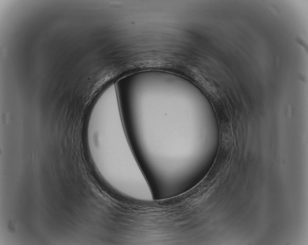 X0000098120207200804040831