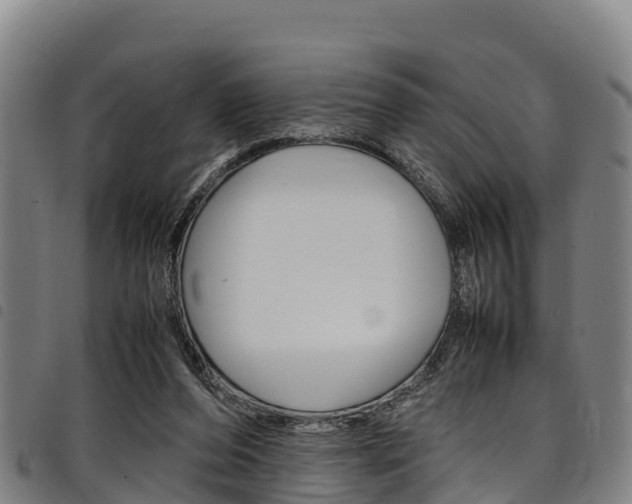 X0000098120208200804040831