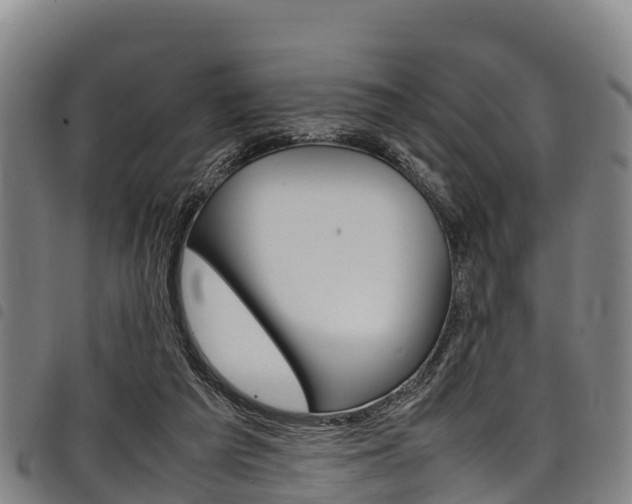 X0000098120209200804040831