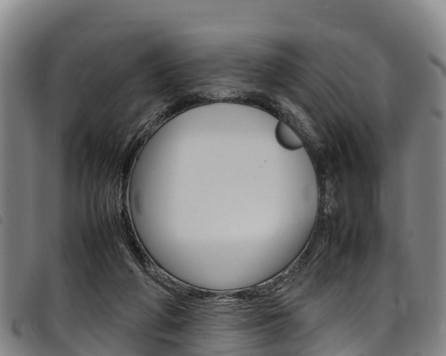 X0000098120210200804040831