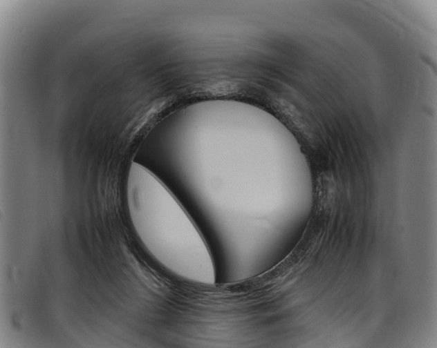 X0000098120212200804040831