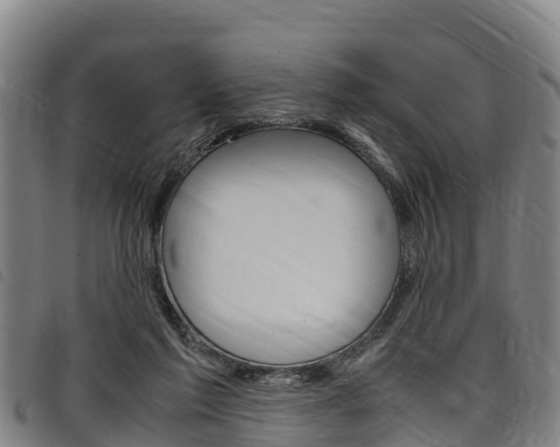 X0000098120213200804040831