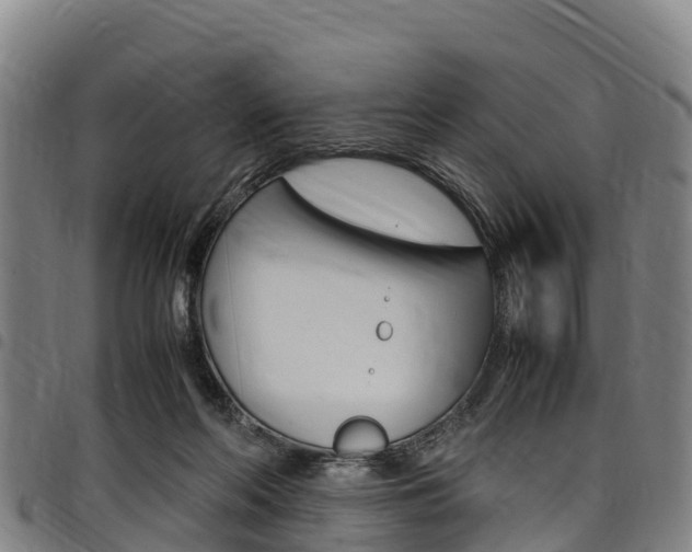 X0000098120214200804040831