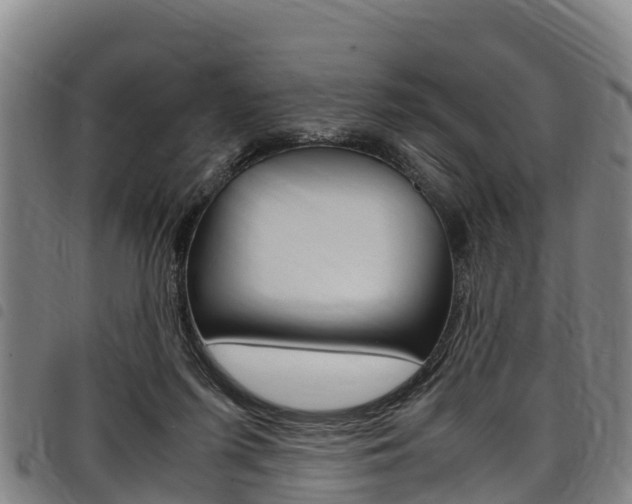 X0000098120215200804040831