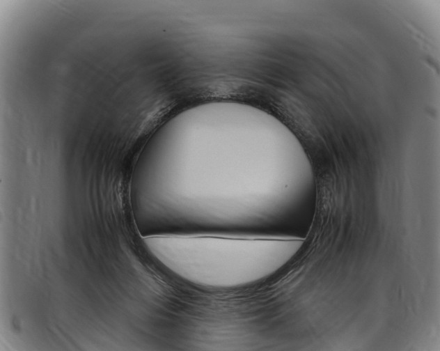 X0000098120216200804040831