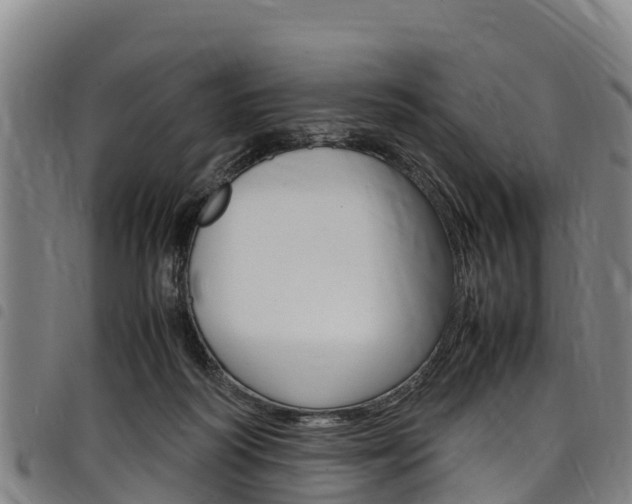X0000098120218200804040831