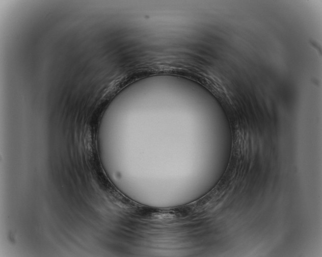 X0000098120220200804040831