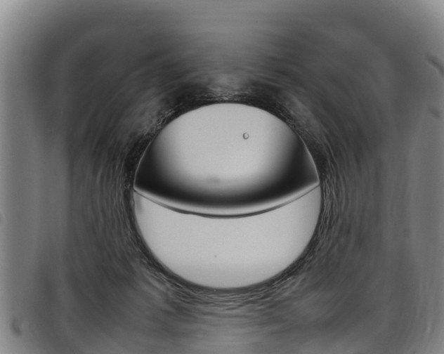 X0000098120221200804040831