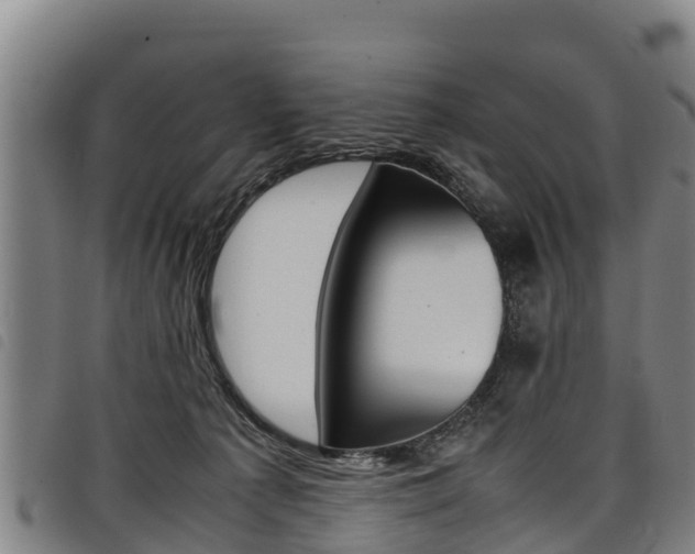 X0000098120225200804040831