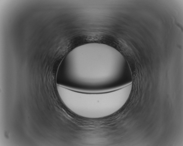 X0000098120227200804040831