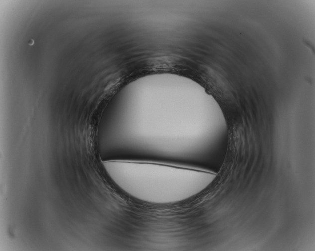 X0000098120228200804040831