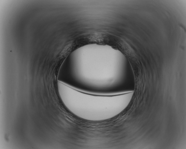 X0000098120229200804040831