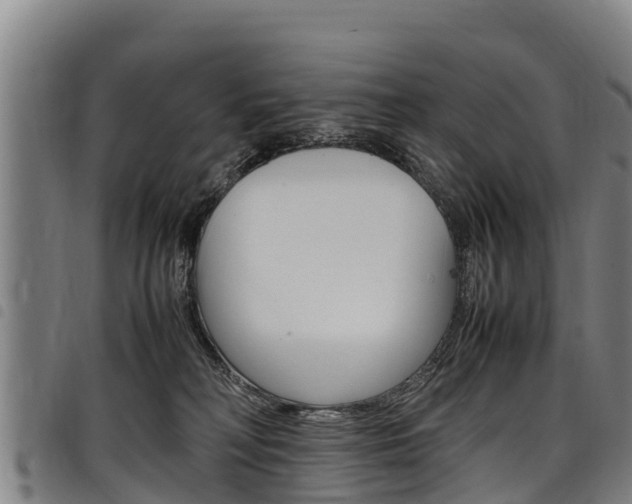 X0000098120230200804040830