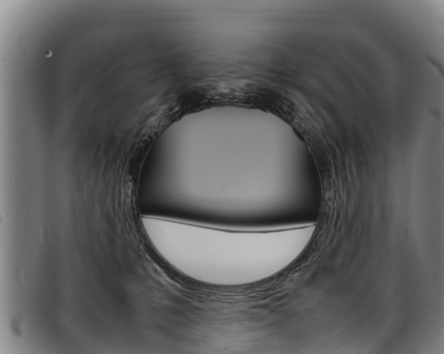 X0000098120231200804040830