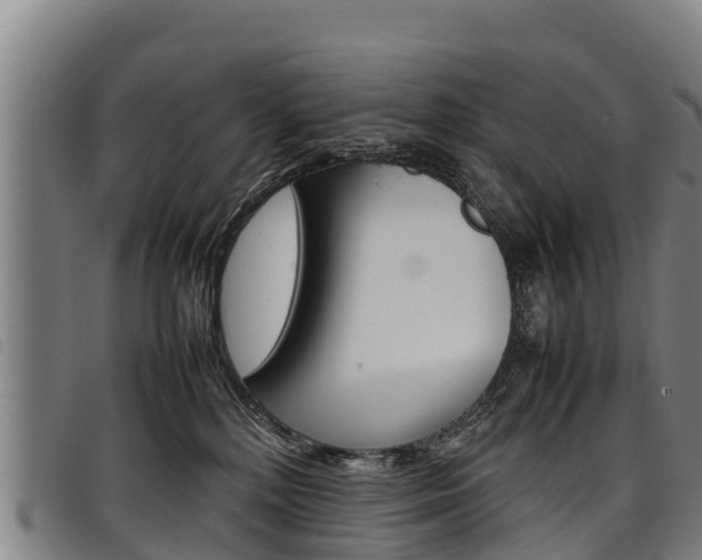 X0000098120232200804040830
