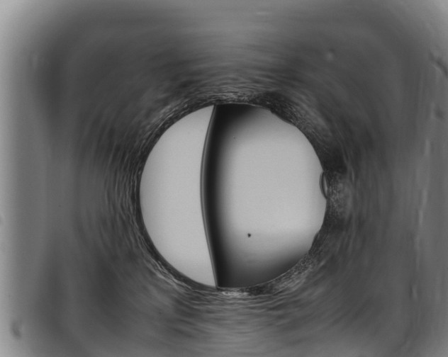 X0000098120233200804040830