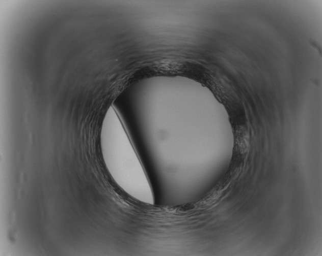 X0000098120235200804040830
