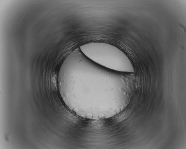 X0000098120238200804040830