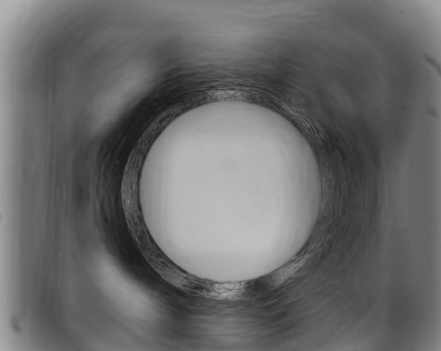 X0000098120240200804040830