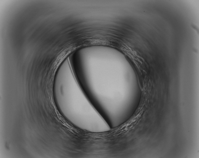 X0000098120241200804040830