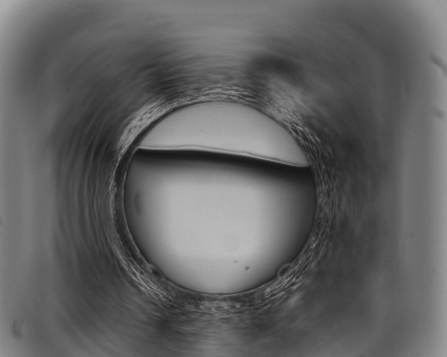 X0000098120242200804040830