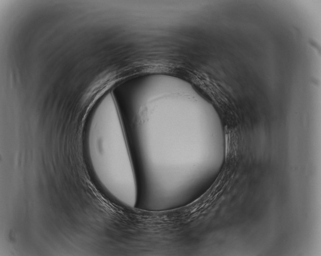 X0000098120243200804040830