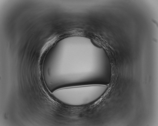 X0000098120245200804040830