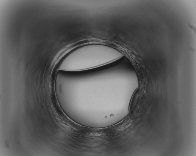 X0000098120247200804040830