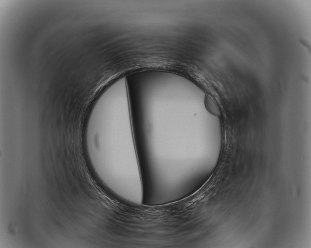 X0000098120249200804040830