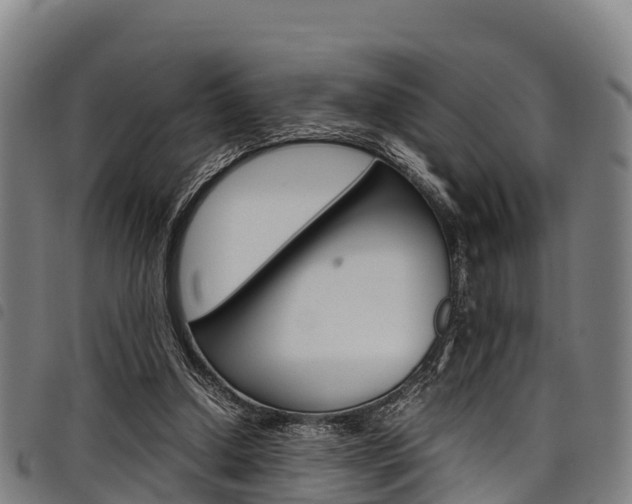 X0000098120250200804040830